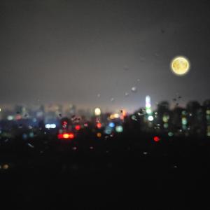 姐姐用脚帮你打飞机
